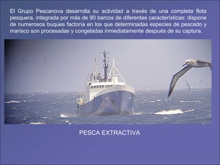 El Grupo Pescanova desarrolla su actividad a través de una completa flota
pesquera, integrada por más de 90 barcos de diferentes características: dispone
de numerosos buques factoría en los que determinadas especies de pescado y
marisco son procesadas y congeladas inmediatamente después de su captura.
PESCA EXTRACTIVA
 