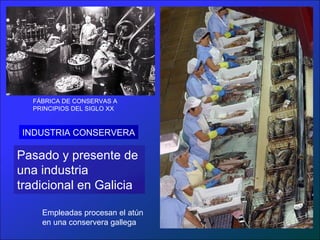 FÁBRICA DE CONSERVAS A
PRINCIPIOS DEL SIGLO XX
Empleadas procesan el atún
en una conservera gallega
Pasado y presente de
una industria
tradicional en Galicia
INDUSTRIA CONSERVERA
 