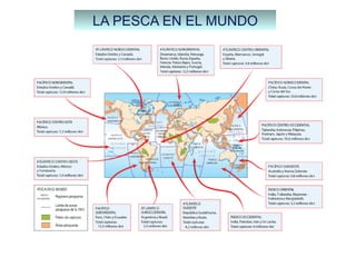 LA PESCA EN EL MUNDO
 