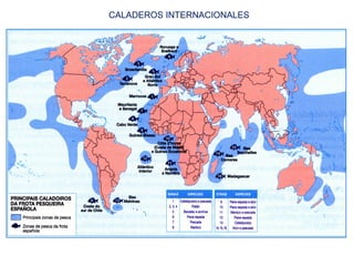CALADEROS INTERNACIONALES
 