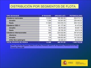 DISTRIBUCIÓN POR SEGMENTOS DE FLOTA
 