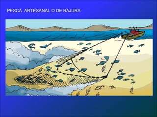 PESCA ARTESANAL O DE BAJURA
 
