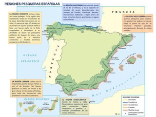 LA REGIÓN NOROESTE incluye todas
las costas gallegas. Es la región más
importante, tanto por el volumen de
la pesca desembarcada como por su
valor. El puerto de Vigo (El Berbés) es
el primero de España y donde tiene la
base una buena parte de la flota
congeladora y bacaladera. A su
alrededor se sitúan los principales
astilleros de buques de pesca, una
buena parte de la industria
conservera y muchas empresas
pesqueras y distribuidoras.
LA REGIÓN CANTÁBRICA se extiende desde
el río Eo al Bidasoa, y es la segunda en
tonelaje de pesca desembarcada. Los
puertos de Pasajes, Ondárroa, Bermeo,
Donostia-San Sebastián y Gijón sirven de
base a muchos barcos que faenan en aguas
comunitarias.
La REGIÓN MEDITERRÁNEA tiene
puertos pesqueros poco activos.
En general son pobres en pesca,
hasta el punto de que les es
necesario importar pescado,
principalmente durante la época
turística.
LA REGIÓN CANARIA cuenta con el
importante puerto de Las Palmas y
con el de Arrecife. Sus barcos
practican la pesca de altura y de
gran altura en las costas africanas,
pero cada vez encuentran más
problemas en el banco sahariano.
La REGIÓN SURATLÁNTICA
Costas de Huelva y Cádiz.
Desembarcan especies de gran
valor económico: cigalas,
langostinos o gambas, a
menudo procedentes de las
costas africanas.
REGIONES PESQUERAS ESPAÑOLASREGIONES PESQUERAS ESPAÑOLAS
 