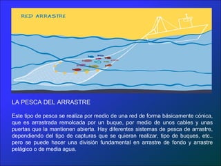 LA PESCA DEL ARRASTRE
Este tipo de pesca se realiza por medio de una red de forma básicamente cónica,
que es arrastrada remolcada por un buque, por medio de unos cables y unas
puertas que la mantienen abierta. Hay diferentes sistemas de pesca de arrastre,
dependiendo del tipo de capturas que se quieran realizar, tipo de buques, etc..
pero se puede hacer una división fundamental en arrastre de fondo y arrastre
pelágico o de media agua.
 