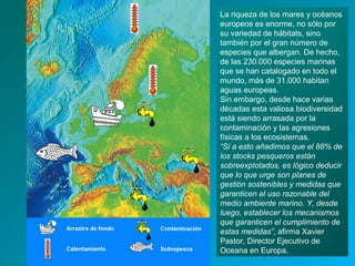 La riqueza de los mares y océanos
europeos es enorme, no sólo por
su variedad de hábitats, sino
también por el gran número de
especies que albergan. De hecho,
de las 230.000 especies marinas
que se han catalogado en todo el
mundo, más de 31.000 habitan
aguas europeas.
Sin embargo, desde hace varias
décadas esta valiosa biodiversidad
está siendo arrasada por la
contaminación y las agresiones
físicas a los ecosistemas.
“Si a esto añadimos que el 88% de
los stocks pesqueros están
sobreexplotados, es lógico deducir
que lo que urge son planes de
gestión sostenibles y medidas que
garanticen el uso razonable del
medio ambiente marino. Y, desde
luego, establecer los mecanismos
que garanticen el cumplimiento de
estas medidas”, afirma Xavier
Pastor, Director Ejecutivo de
Oceana en Europa.
 
