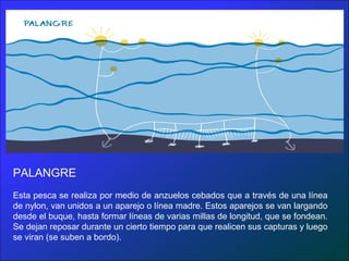 PALANGRE
Esta pesca se realiza por medio de anzuelos cebados que a través de una línea
de nylon, van unidos a un aparejo o línea madre. Estos aparejos se van largando
desde el buque, hasta formar líneas de varias millas de longitud, que se fondean.
Se dejan reposar durante un cierto tiempo para que realicen sus capturas y luego
se viran (se suben a bordo).
 