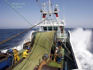 PESCA DEPESCA DE
ALTURAALTURA
 