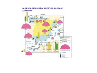 LA PESCA EN ESPAÑA: PUERTOS, FLOTAS Y
CAPTURAS
 