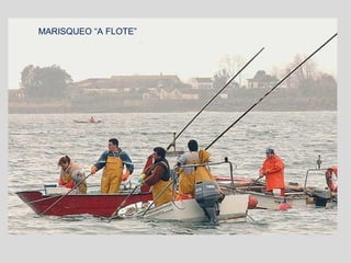 MARISQUEO “A FLOTE”
 