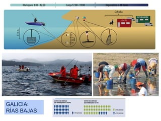 GALICIA:
RÍAS BAJAS
 