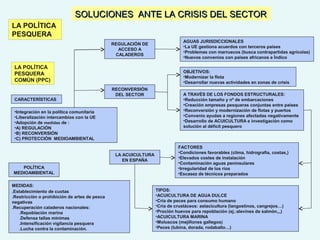 SOLUCIONES ANTE LA CRISIS DEL SECTORSOLUCIONES ANTE LA CRISIS DEL SECTOR
LA POLÍTICA
PESQUERA
COMÚN (PPC)
RECONVERSIÓN
DEL SECTOR
AGUAS JURISDICCIONALES
•La UE gestiona acuerdos con terceros países
•Problemas con marruecos (busca contrapartidas agrícolas)
•Nuevos convenios con países africanos e Índico
REGULACIÓN DE
ACCESO A
CALADEROS
LA POLÍTICA
PESQUERA
MEDIDAS:
.Establecimiento de cuotas
.Restricción o prohibición de artes de pesca
negativas
.Recuperación caladeros nacionales:
.Repoblación marina
.Defensa tallas mínimas
.Intensificación vigilancia pesquera
.Lucha contra la contaminación.
POLÍTICA
MEDIOAMBIENTAL
TIPOS:
•ACUICULTURA DE AGUA DULCE
•Cría de peces para consumo humano
•Cría de crustáceos: astacicultura (langostinos, cangrejos…)
•Proción huevos para repoblación (ej.:alevines de salmón,,,)
•ACUICULTURA MARINA
•Moluscos (mejillones gallegos)
•Peces (lubina, dorada, rodaballo…)
LA ACUICULTURA
EN ESPAÑA
FACTORES
•Condiciones favorables (clima, hidrografía, costas,)
•Elevados costes de instalación
•Contaminación aguas peninsulares
•Irregularidad de los ríos
•Escasez de técnicos preparados
•Integración en la política comunitaria
•Liberalización intercambios con la UE
•Adopción de medidas de :
•A) REGULACIÓN
•B) RECONVERSIÓN
•C) PROTECCIÓN MEDIOAMBIENTAL
CARACTERÍSTICAS
A TRAVÉS DE LOS FONDOS ESTRUCTURALES:
•Reducción tamaño y nº de embarcaciones
•Creación empresas pesqueras conjuntas entre países
•Reconversión y modernización de flotas y puertos
•Convenio ayudas a regiones afectadas negativamente
•Desarrollo de ACUICULTURA e investigación como
solución al déficit pesquero
OBJETIVOS:
•Modernizar la flota
•Desarrollar nuevas actividades en zonas de crisis
 