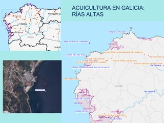 ACUICULTURA EN GALICIA:
RÍAS ALTAS
 
