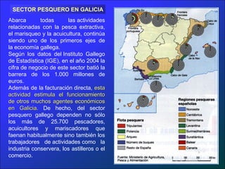 Abarca todas las actividades
relacionadas con la pesca extractiva,
el marisqueo y la acuicultura, continúa
siendo uno de los primeros ejes de
la economía gallega.
Según los datos del Instituto Gallego
de Estadística (IGE), en el año 2004 la
cifra de negocio de este sector batió la
barrera de los 1.000 millones de
euros.
Además de la facturación directa, estaesta
actividad estimula el funcionamientoactividad estimula el funcionamiento
de otros muchos agentes económicosde otros muchos agentes económicos
en Galicia.en Galicia. De hecho, del sector
pesquero gallego dependen no sólo
los más de 25.700 pescadores,
acuicultores y mariscadores que
faenan habitualmente sino también los
trabajadores de actividades como la
industria conservera, los astilleros o el
comercio.
SECTOR PESQUERO EN GALICIA
 