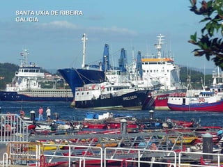SANTA UXÍA DE RIBEIRASANTA UXÍA DE RIBEIRA
GALICIAGALICIA
 