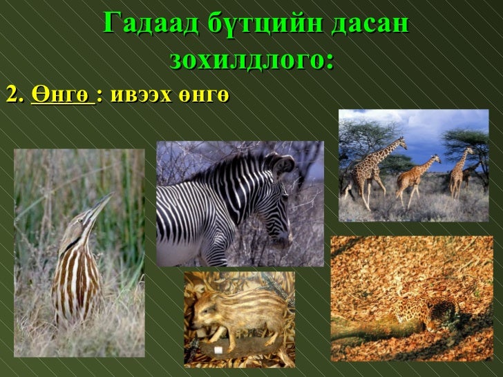 amid biyiin zohildlogoo