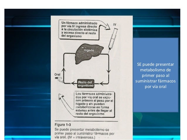 Aprender cómo metabolismo glucidos