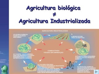 Agricultura biológica  ≠ Agricultura Industrializada 
