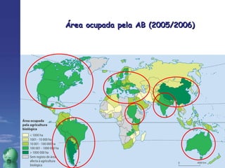 Área ocupada pela AB (2005/2006) 