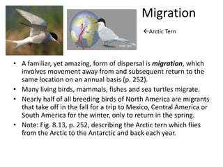 Migration
                                            Arctic Tern




• A familiar, yet amazing, form of dispersal is migration, which
  involves movement away from and subsequent return to the
  same location on an annual basis (p. 252).
• Many living birds, mammals, fishes and sea turtles migrate.
• Nearly half of all breeding birds of North America are migrants
  that take off in the fall for a trip to Mexico, Central America or
  South America for the winter, only to return in the spring.
• Note: Fig. 8.13, p. 252, describing the Arctic tern which flies
  from the Arctic to the Antarctic and back each year.
 