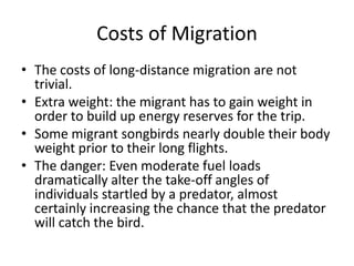 Costs of Migration
• The costs of long-distance migration are not
  trivial.
• Extra weight: the migrant has to gain weight in
  order to build up energy reserves for the trip.
• Some migrant songbirds nearly double their body
  weight prior to their long flights.
• The danger: Even moderate fuel loads
  dramatically alter the take-off angles of
  individuals startled by a predator, almost
  certainly increasing the chance that the predator
  will catch the bird.
 