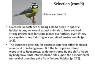 Habitat
                                    Selection (cont’d)

                            European Great Tit



• Given the importance of being able to breed in specific
  habitat types, we would expect animals to have evolved
  strong preferences for some places over others, even if they
  are capable of reproducing in a variety of environments (p.
  242).
• The European great tit, for example, can nest either in mixed
  woodland or in hedgerows. But the birds prefer mixed
  woodland to hedgerows, as demonstrated by the shifts made
  by hedgerow birds into woodland sites upon the experimental
  removal of breeding pairs from favored habitat (p. 242).
 