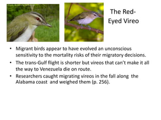 The Red-
                                               Eyed Vireo


• Migrant birds appear to have evolved an unconscious
  sensitivity to the mortality risks of their migratory decisions.
• The trans-Gulf flight is shorter but vireos that can’t make it all
  the way to Venezuela die on route.
• Researchers caught migrating vireos in the fall along the
  Alabama coast and weighed them (p. 256).
 