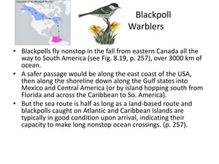Blackpoll
                                      Warblers

• Blackpolls fly nonstop in the fall from eastern Canada all the
  way to South America (see Fig. 8.19, p. 257), over 3000 km of
  ocean.
• A safer passage would be along the east coast of the USA,
  then along the shoreline down along the Gulf states into
  Mexico and Central America (or by island hopping south from
  Florida and across the Caribbean to So. America).
• But the sea route is half as long as a land-based route and
  blackpolls caught on Atlantic and Caribbean Islands are
  typically in good condition upon arrival, indicating their
  capacity to make long nonstop ocean crossings. (p. 257).
 