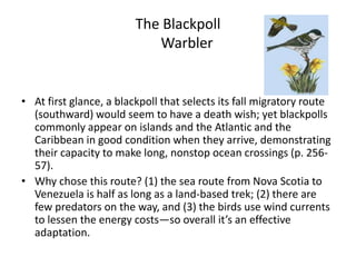 The Blackpoll
                            Warbler


• At first glance, a blackpoll that selects its fall migratory route
  (southward) would seem to have a death wish; yet blackpolls
  commonly appear on islands and the Atlantic and the
  Caribbean in good condition when they arrive, demonstrating
  their capacity to make long, nonstop ocean crossings (p. 256-
  57).
• Why chose this route? (1) the sea route from Nova Scotia to
  Venezuela is half as long as a land-based trek; (2) there are
  few predators on the way, and (3) the birds use wind currents
  to lessen the energy costs—so overall it’s an effective
  adaptation.
 
