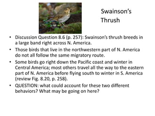 Swainson’s
                                           Thrush

• Discussion Question 8.6 (p. 257): Swainson’s thrush breeds in
  a large band right across N. America.
• Those birds that live in the northwestern part of N. America
  do not all follow the same migratory route.
• Some birds go right down the Pacific coast and winter in
  Central America; most others travel all the way to the eastern
  part of N. America before flying south to winter in S. America
  (review Fig. 8.20, p. 258).
• QUESTION: what could account for these two different
  behaviors? What may be going on here?
 