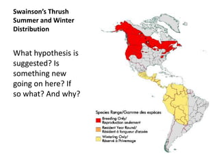 Swainson’s Thrush
Summer and Winter
Distribution


What hypothesis is
suggested? Is
something new
going on here? If
so what? And why?
 