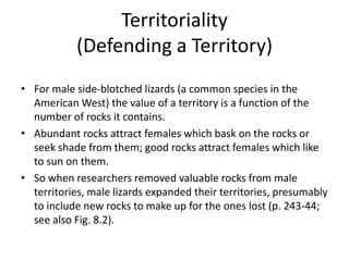 Territoriality
           (Defending a Territory)
• For male side-blotched lizards (a common species in the
  American West) the value of a territory is a function of the
  number of rocks it contains.
• Abundant rocks attract females which bask on the rocks or
  seek shade from them; good rocks attract females which like
  to sun on them.
• So when researchers removed valuable rocks from male
  territories, male lizards expanded their territories, presumably
  to include new rocks to make up for the ones lost (p. 243-44;
  see also Fig. 8.2).
 