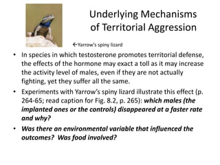 Underlying Mechanisms
                           of Territorial Aggression
                    Yarrow’s spiny lizard
• In species in which testosterone promotes territorial defense,
  the effects of the hormone may exact a toll as it may increase
  the activity level of males, even if they are not actually
  fighting, yet they suffer all the same.
• Experiments with Yarrow’s spiny lizard illustrate this effect (p.
  264-65; read caption for Fig. 8.2, p. 265): which males (the
  implanted ones or the controls) disappeared at a faster rate
  and why?
• Was there an environmental variable that influenced the
  outcomes? Was food involved?
 