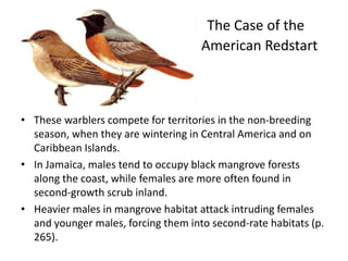 The Case of the
                                     American Redstart



• These warblers compete for territories in the non-breeding
  season, when they are wintering in Central America and on
  Caribbean Islands.
• In Jamaica, males tend to occupy black mangrove forests
  along the coast, while females are more often found in
  second-growth scrub inland.
• Heavier males in mangrove habitat attack intruding females
  and younger males, forcing them into second-rate habitats (p.
  265).
 