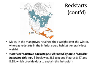 Redstarts
                                              (cont’d)



• Males in the mangroves retained their weight over the winter,
  whereas redstarts in the inferior scrub habitat generally lost
  weight.
• What reproductive advantage is obtained by male redstarts
  behaving this way ? (review p. 286 text and Figures 8.27 and
  8.28, which provide data to explain this behavior).
 