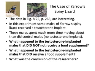 The Case of Yarrow’s
                             Spiny Lizard
• The data in Fig. 8.25, p. 265, are interesting.
• In this experiment some males of Yarrow’s spiny
  lizard received a testosterone implant.
• These males spent much more time moving about
  than did control males (no testosterone implant).
• What happened to the testosterone-implanted
  males that DID NOT not receive a food supplement?
• What happened to the testosterone-implanted
  males that DID receive a food supplement?
• What was the conclusion of the researchers?
 