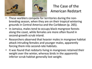 The Case of the
                                   American Redstart
• These warblers compete for territories during the non-
  breeding season, when they are on their tropical wintering
  grounds in Central America and the Caribbean (p. 265).
• In Jamaica, males tend to occupy black mangrove forests
  along the coast, while females are more often found in
  second-growth scrub inland.
• Researchers observed that heavier males in mangrove habitat
  attack intruding females and younger males, apparently
  forcing them into second-rate habitats.
• It was found that redstarts living in mangroves retained their
  weight over the winter, whereas birds in the apparently
  inferior scrub habitat generally lost weight.
 