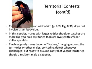 Territorial Contests
                                      (cont’d)

• The case of the African widowbird (p. 269, Fig. 8.30) does not
  involve larger body size.
• In this species, males with larger redder shoulder patches are
  more likely to hold territories than are rivals with smaller
  duller epaulets.
• The less gaudy males become “floaters,” hanging around the
  territories or other males, conceding defeat whenever
  challenged, but ready to assume control of vacant territories
  should a resident male disappear.
 