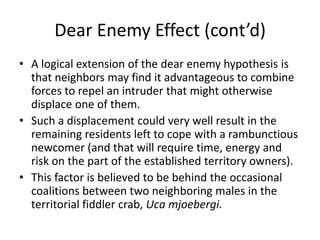 Dear Enemy Effect (cont’d)
• A logical extension of the dear enemy hypothesis is
  that neighbors may find it advantageous to combine
  forces to repel an intruder that might otherwise
  displace one of them.
• Such a displacement could very well result in the
  remaining residents left to cope with a rambunctious
  newcomer (and that will require time, energy and
  risk on the part of the established territory owners).
• This factor is believed to be behind the occasional
  coalitions between two neighboring males in the
  territorial fiddler crab, Uca mjoebergi.
 
