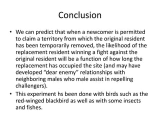 Conclusion
• We can predict that when a newcomer is permitted
  to claim a territory from which the original resident
  has been temporarily removed, the likelihood of the
  replacement resident winning a fight against the
  original resident will be a function of how long the
  replacement has occupied the site (and may have
  developed “dear enemy” relationships with
  neighboring males who male assist in repelling
  challengers).
• This experiment hs been done with birds such as the
  red-winged blackbird as well as with some insects
  and fishes.
 