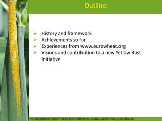 Wheat Rust Toolbox Related to New Initiatives on Yellow Rust | PPTX