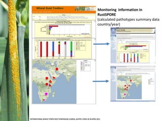 Example from EuroWheatabout YR IPM<br />Wheat Rust Toolbox Related to New Initiatives on Yellow Rust<br />Jens Grønbech Ha...