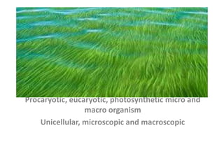 Algae
Procaryotic, eucaryotic, photosynthetic micro and
macro organism
Unicellular, microscopic and macroscopic
 