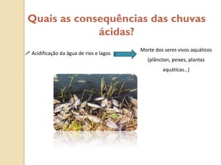 Quais as consequências das chuvas
              ácidas?
                                         Morte dos seres vivos aquáticos
 Acidificação da água de rios e lagos
                                            (plâncton, peixes, plantas
                                                  aquáticas…)
 