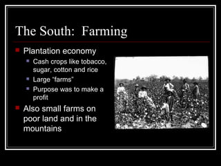 The South: Farming
   Plantation economy
       Cash crops like tobacco,
        sugar, cotton and rice
       Large “farms”
       Purpose was to make a
        profit
   Also small farms on
    poor land and in the
    mountains
 