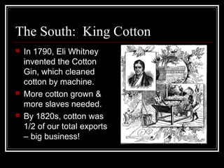 The South: King Cotton
   In 1790, Eli Whitney
    invented the Cotton
    Gin, which cleaned
    cotton by machine.
   More cotton grown &
    more slaves needed.
   By 1820s, cotton was
    1/2 of our total exports
    – big business!
 