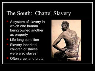 The South: Chattel Slavery
   A system of slavery in
    which one human
    being owned another
    as property
   Life-long condition
   Slavery inherited –
    children of slaves
    were also slaves
   Often cruel and brutal
 