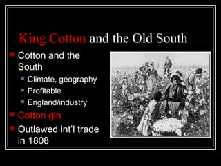 King Cotton and the Old South
   Cotton and the
    South
       Climate, geography
       Profitable
       England/industry
   Cotton gin
   Outlawed int’l trade
    in 1808
 