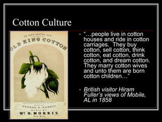 Cotton Culture
                 •   “…people live in cotton
                     houses and ride in cotton
                     carriages. They buy
                     cotton, sell cotton, think
                     cotton, eat cotton, drink
                     cotton, and dream cotton.
                     They marry cotton wives
                     and unto them are born
                     cotton children…”

                 •   British visitor Hiram
                     Fuller’s views of Mobile,
                     AL in 1858
 