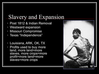 Slavery and Expansion
•   Post 1812 & Indian Removal
•   Westward expansion
•   Missouri Compromise
•   Texas “Independence”

•   Louisiana, ARK, OK, TX
•   Profits used to buy more
    land, more land=more
    slaves, more crops=more
    profit=more land=more
    slaves=more crops
 