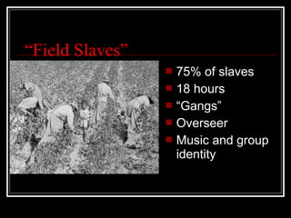 “Field Slaves”
                    75% of slaves
                    18 hours
                    “Gangs”
                    Overseer
                    Music and group
                     identity
 